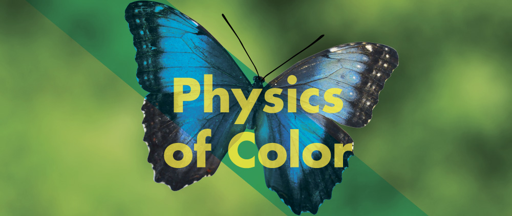 Physics of Color