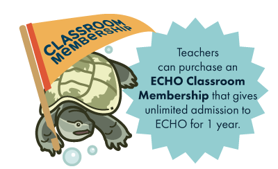 Teachers can purchase a classroom membership to ECHO for unlimited admission for one year.