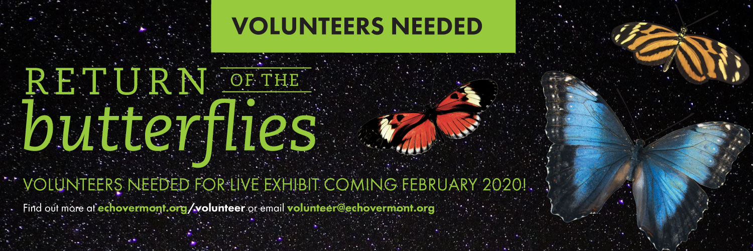 ButterfliesVolunteer-web