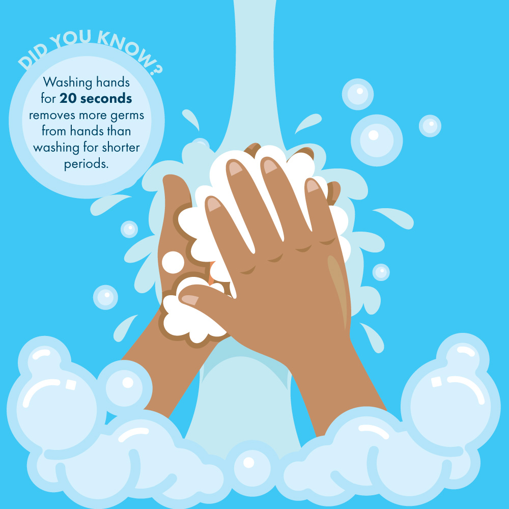 Washing hands for 20 seconds removes more germs than shorter times.
