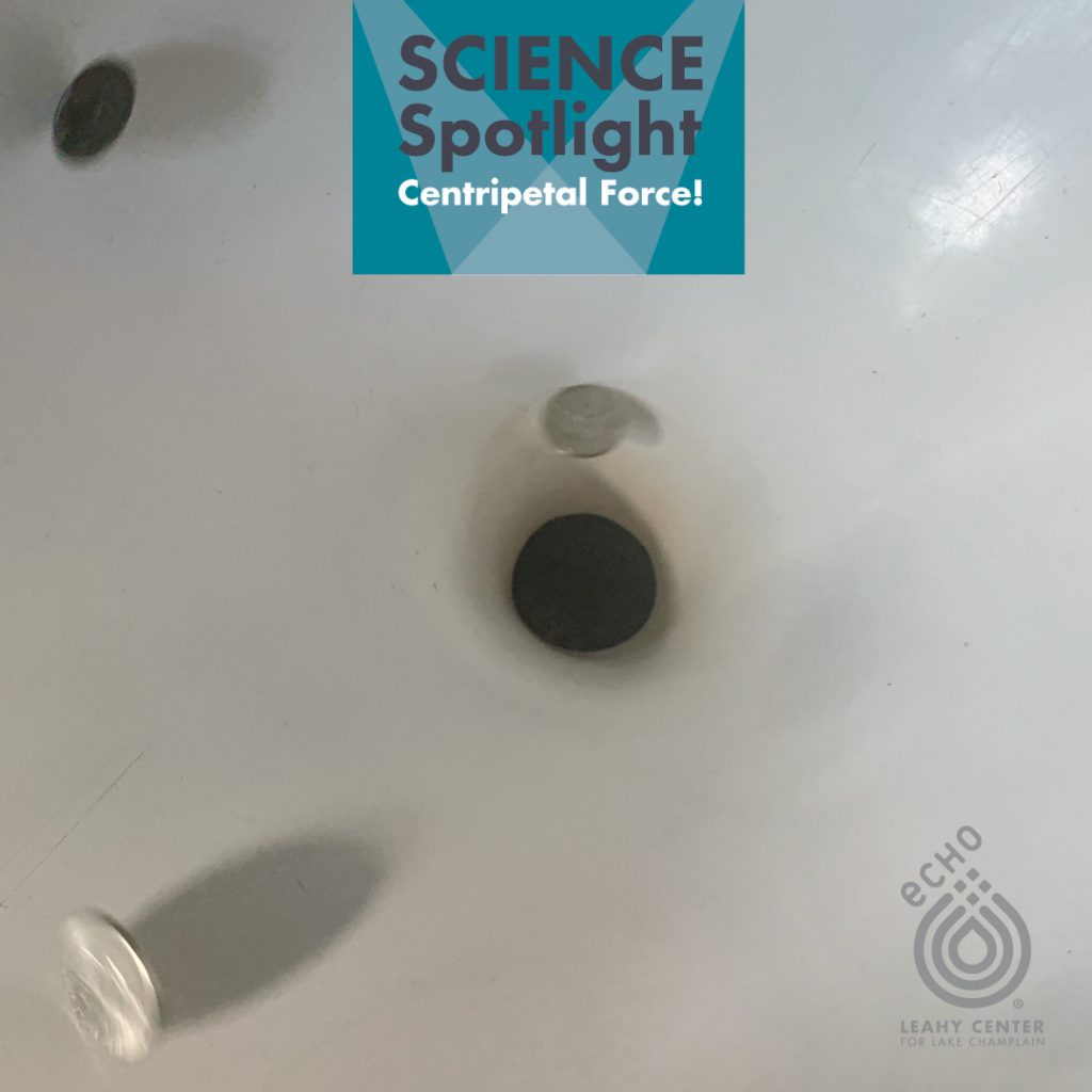 coins going down a hole showing centripetal force