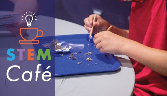 Kids dissecting owl pellets at ECHO