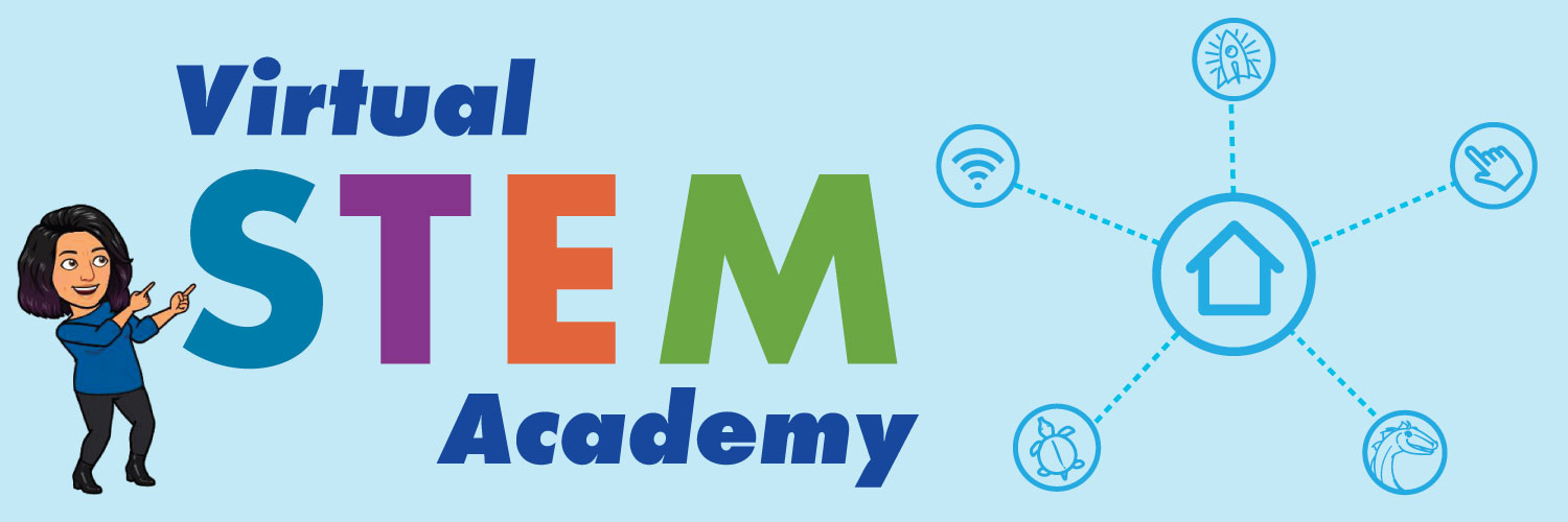 Virtual Stem Academy