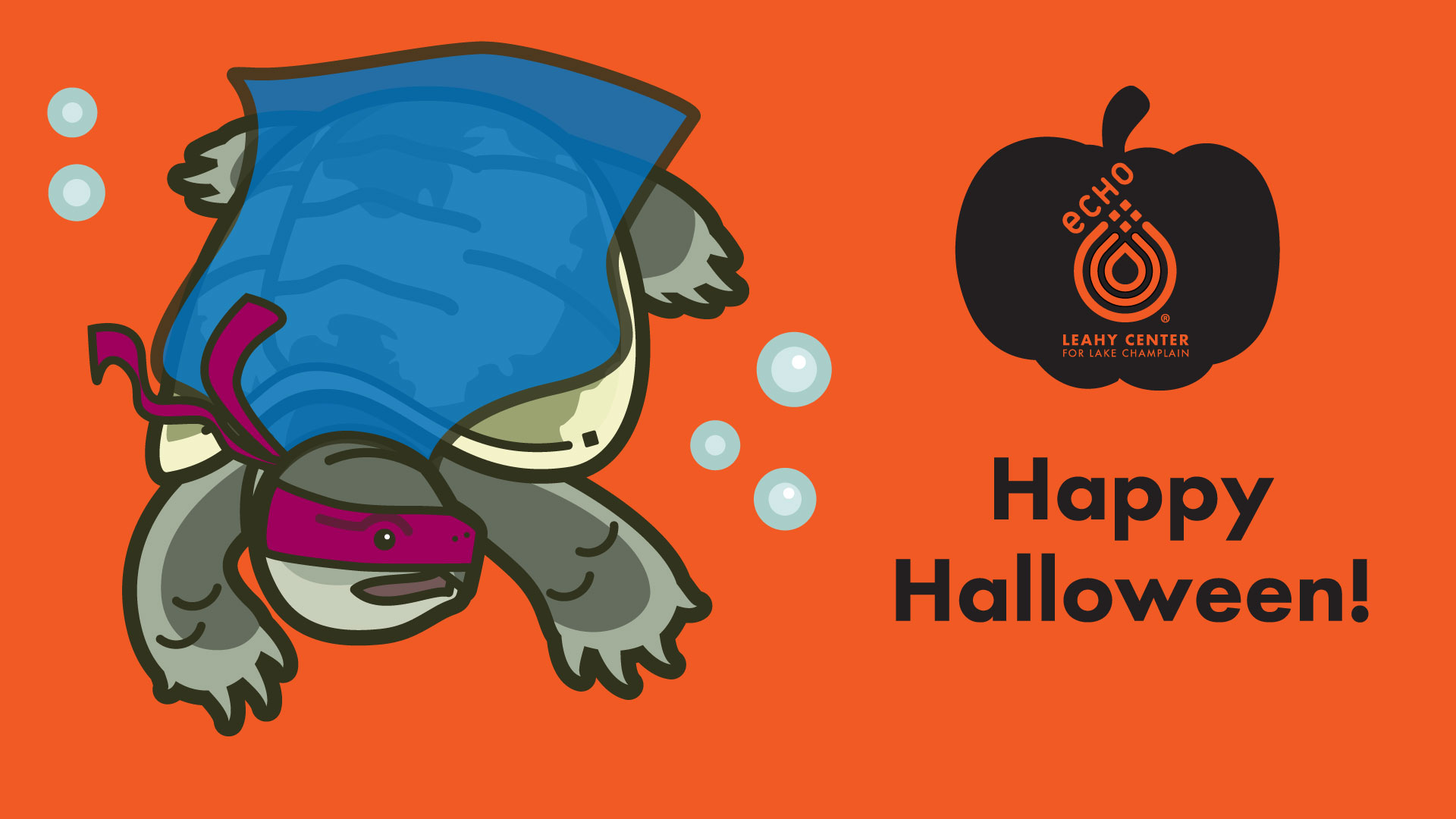 An illustration of snapping turtle with costume on--mask and blue cape--with the words "Happy Halloween" and ECHO logo.