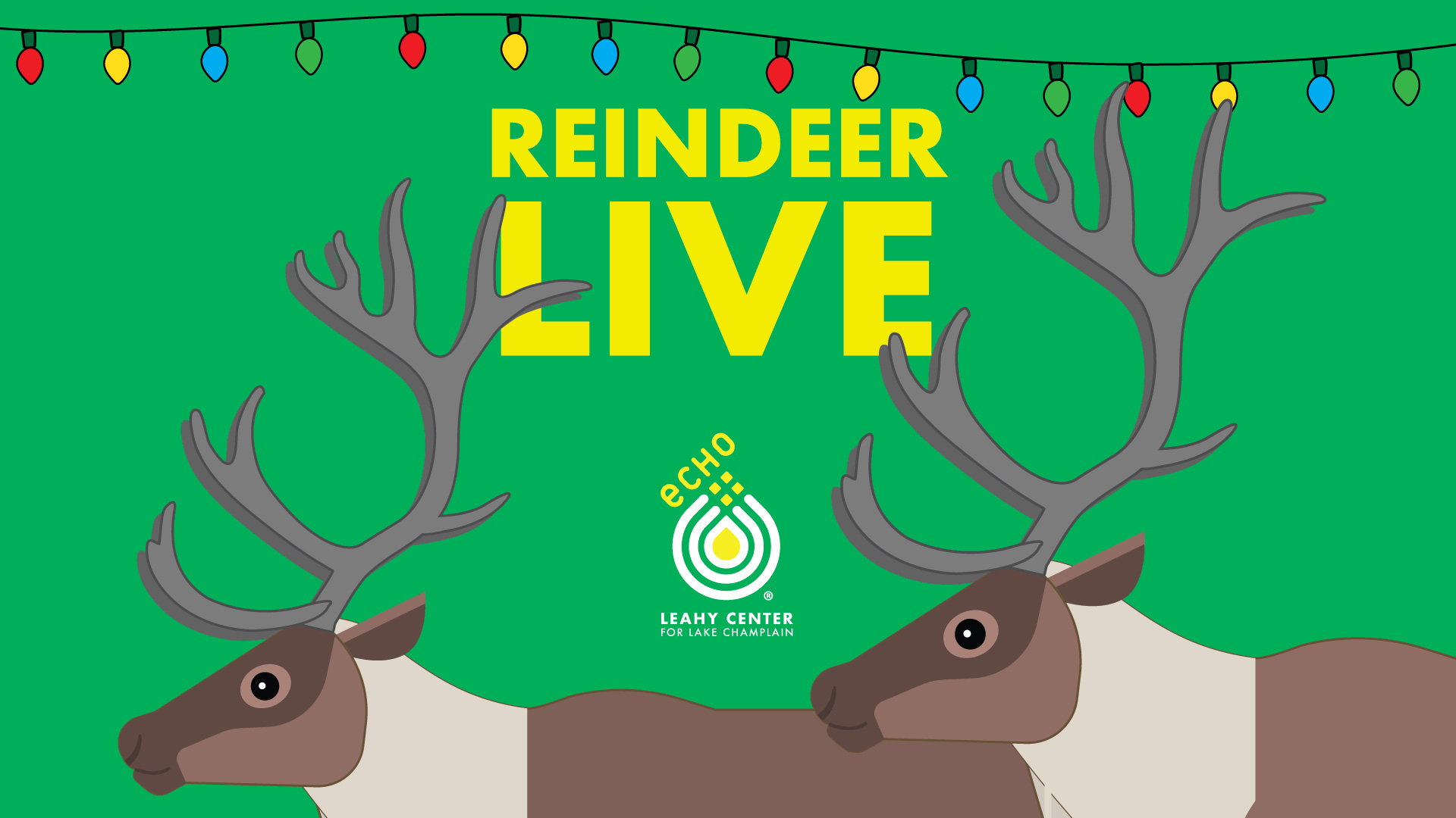 Reindeer Live at ECHO