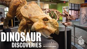 Photo of a triceratops from the Dino Discoveries exhibit. Image also has the words "DINOSAUR DISCOVERIES, MEMBER PREVIEW PARTY" and the ECHO logo.