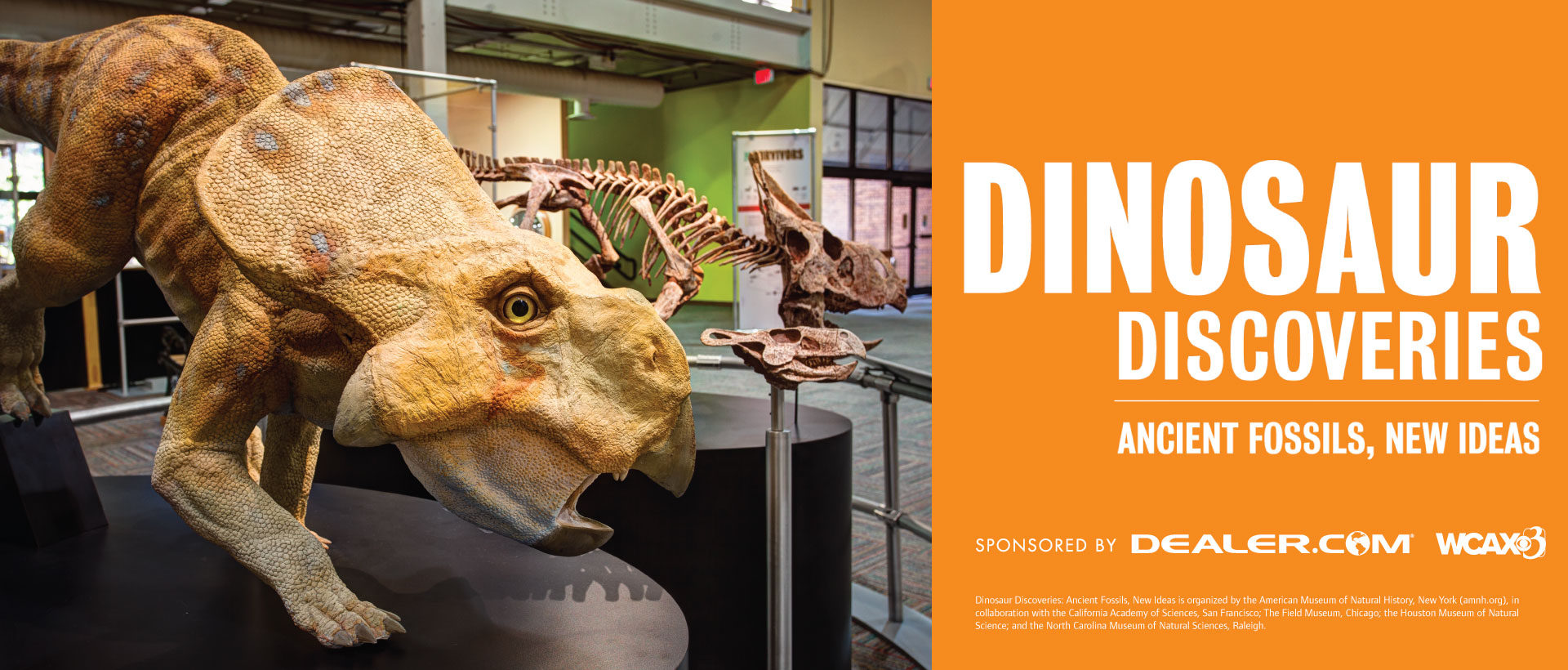 Dinosaur Discoveries, Ancient Fossils, New Ideas logo. Image of a Protoceratops model from the exhibit.
