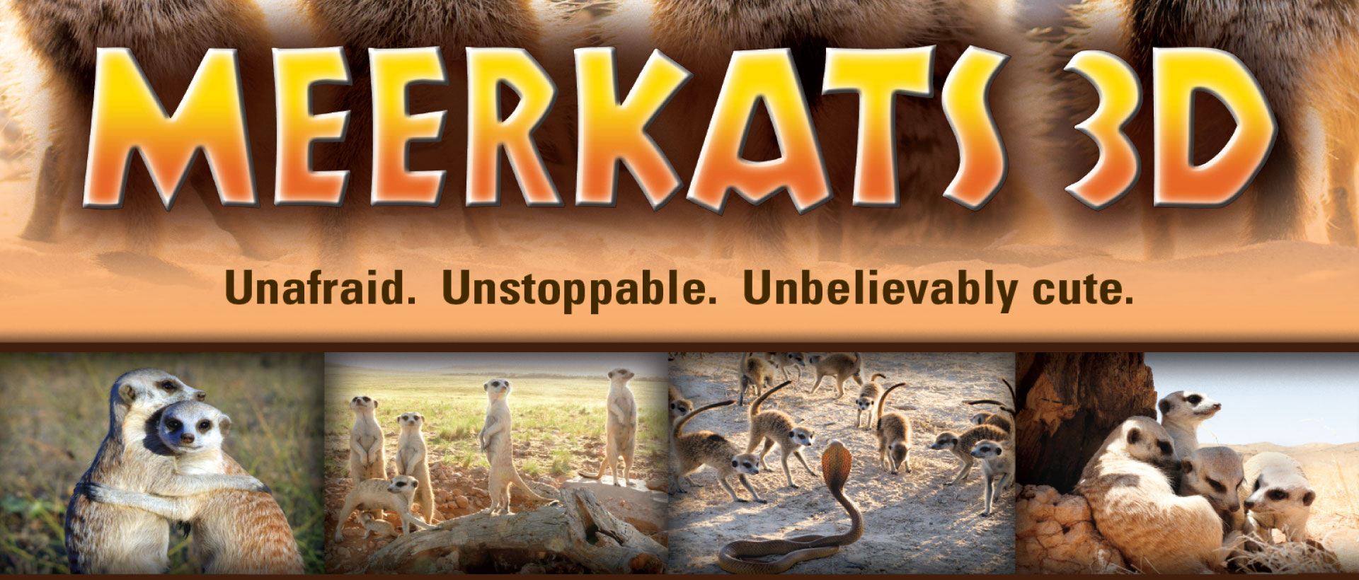 Meerkats 3D Movie