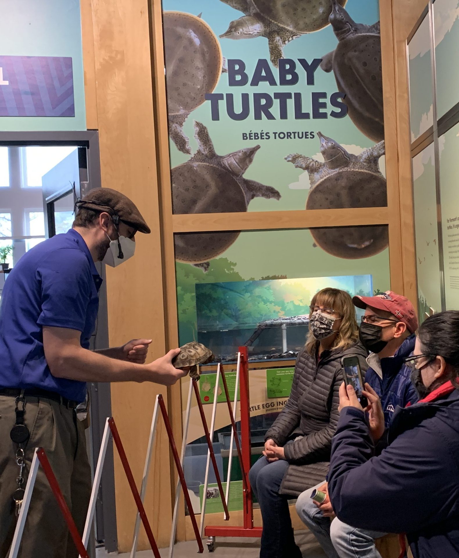 Photograph of ECHO Animal Care staff with blue shirt showing a turtle to a group of visitors.