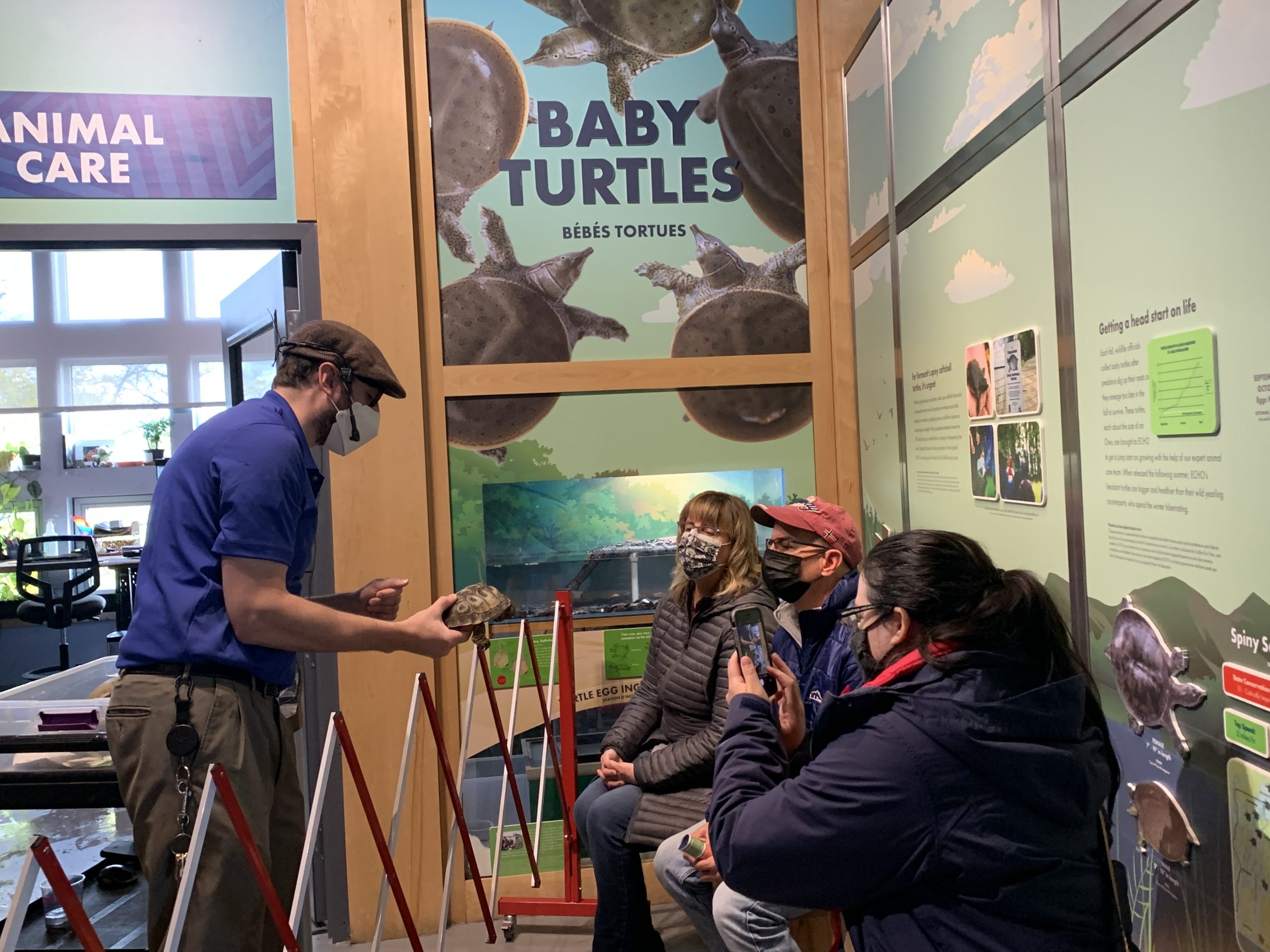 Photograph of ECHO Animal Care staff with blue shirt showing a turtle to a group of visitors.