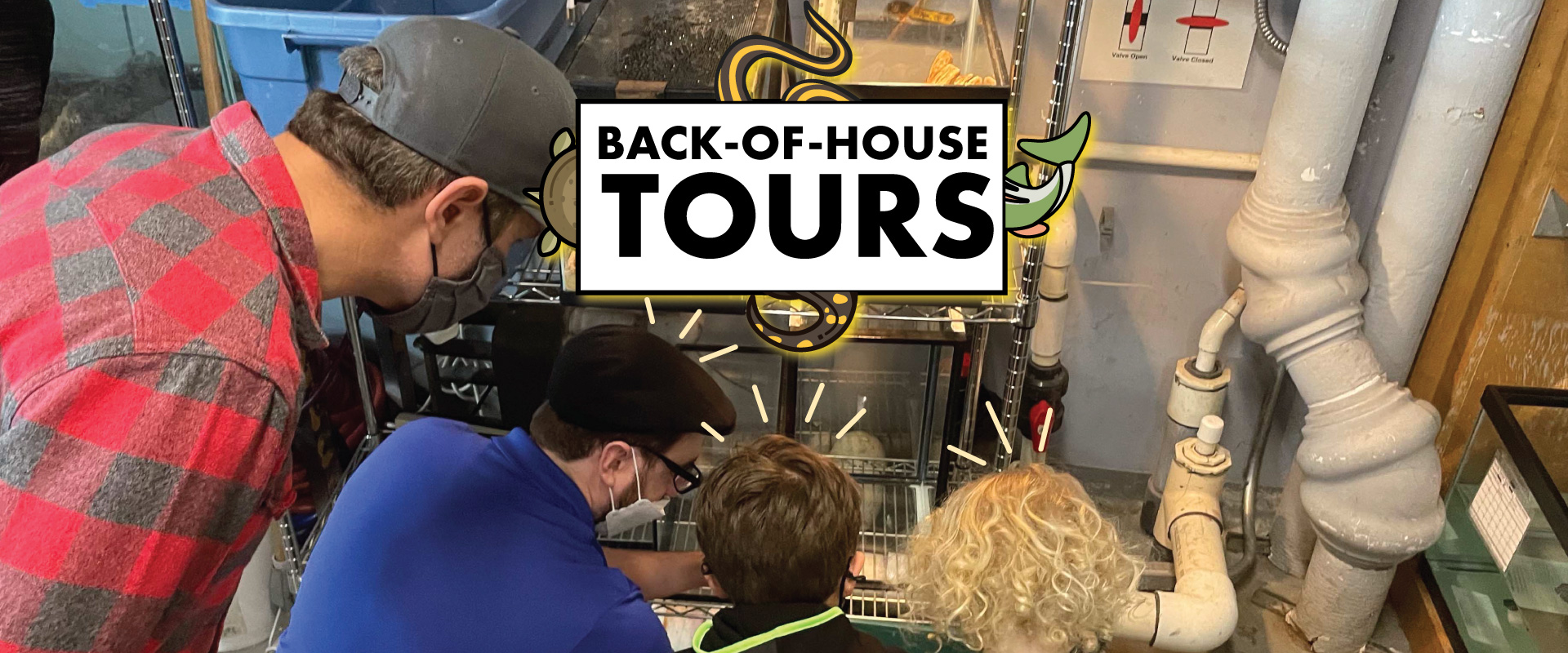 Back of House Tours