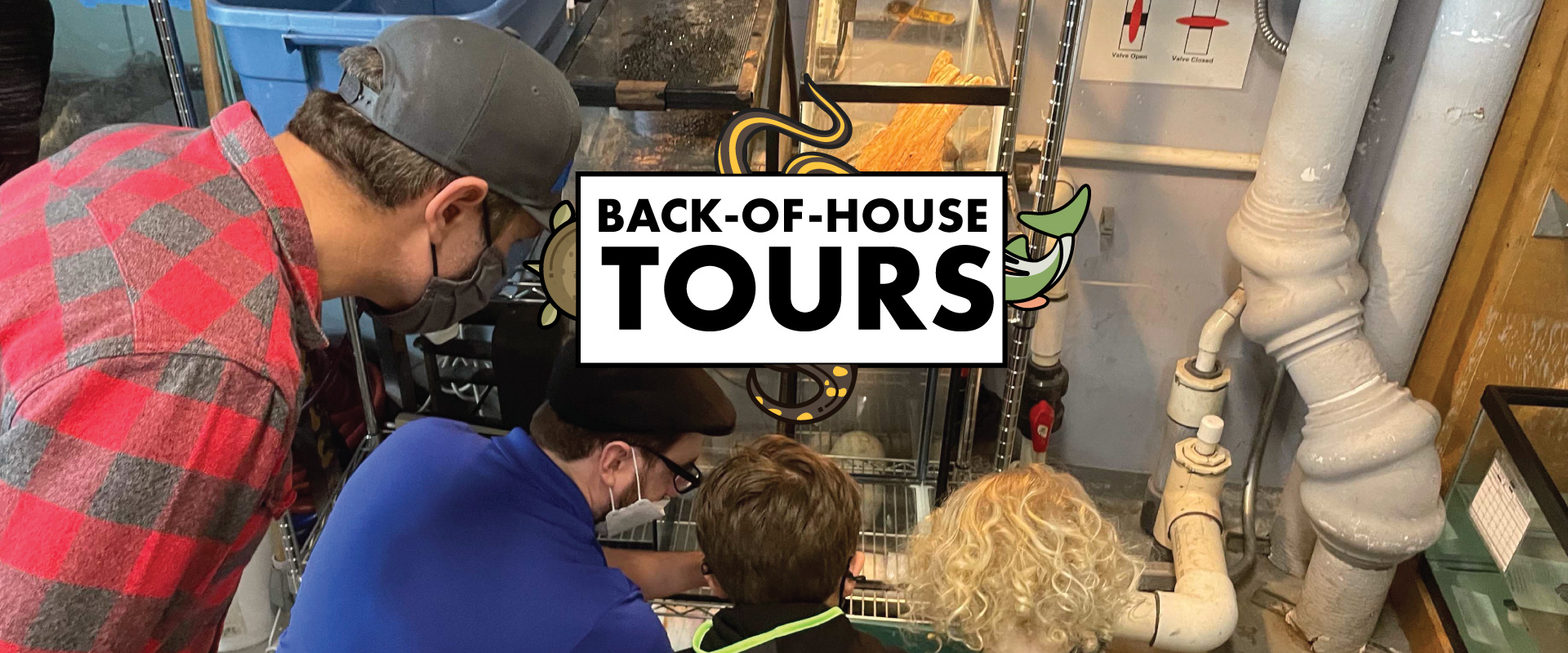 Back of house tours