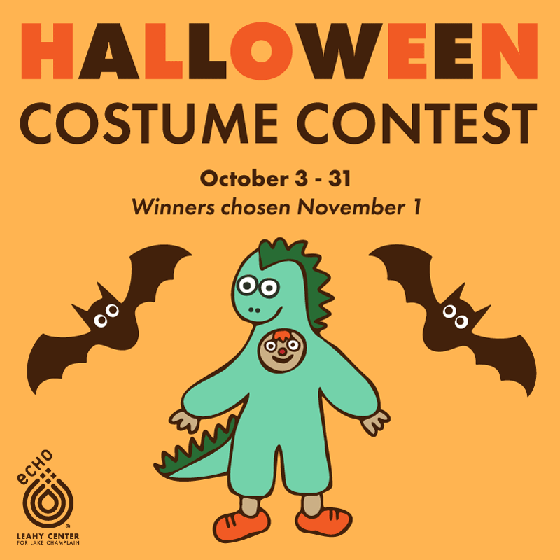 Halloween Costume Contest, October 3-31, Winners chosen November 1