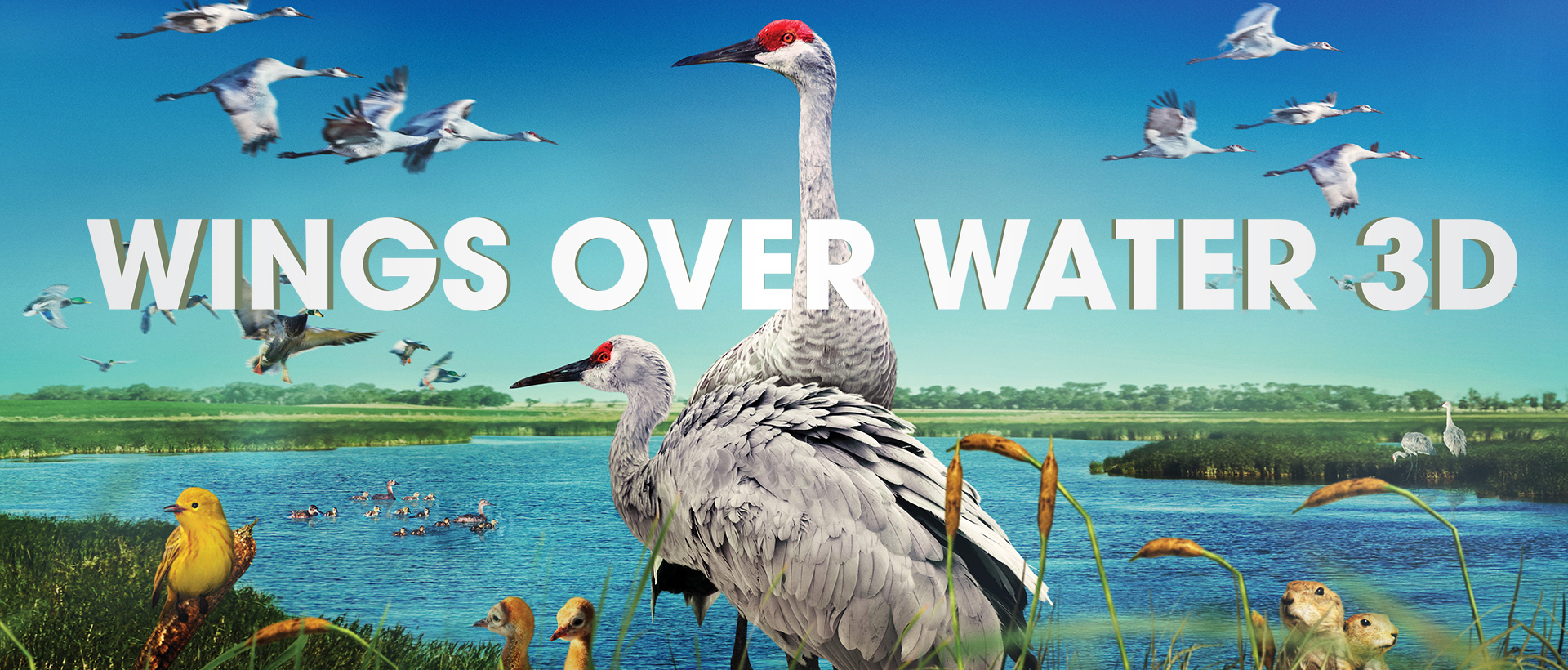Wings Over Water 3D