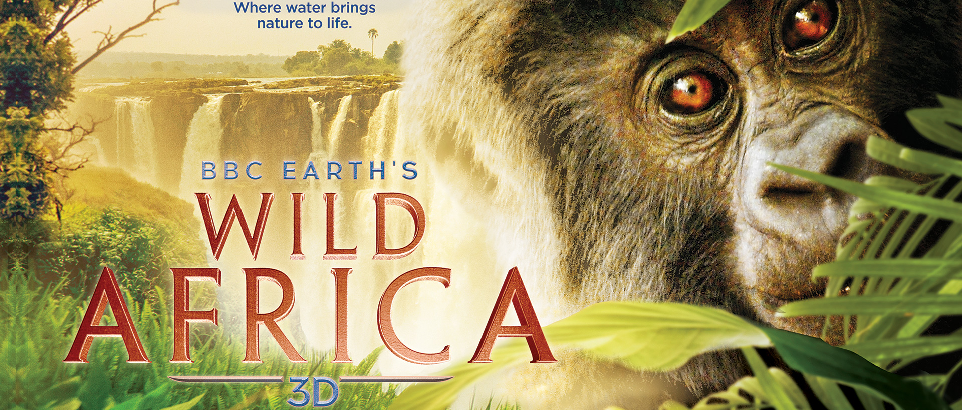 Wild Africa