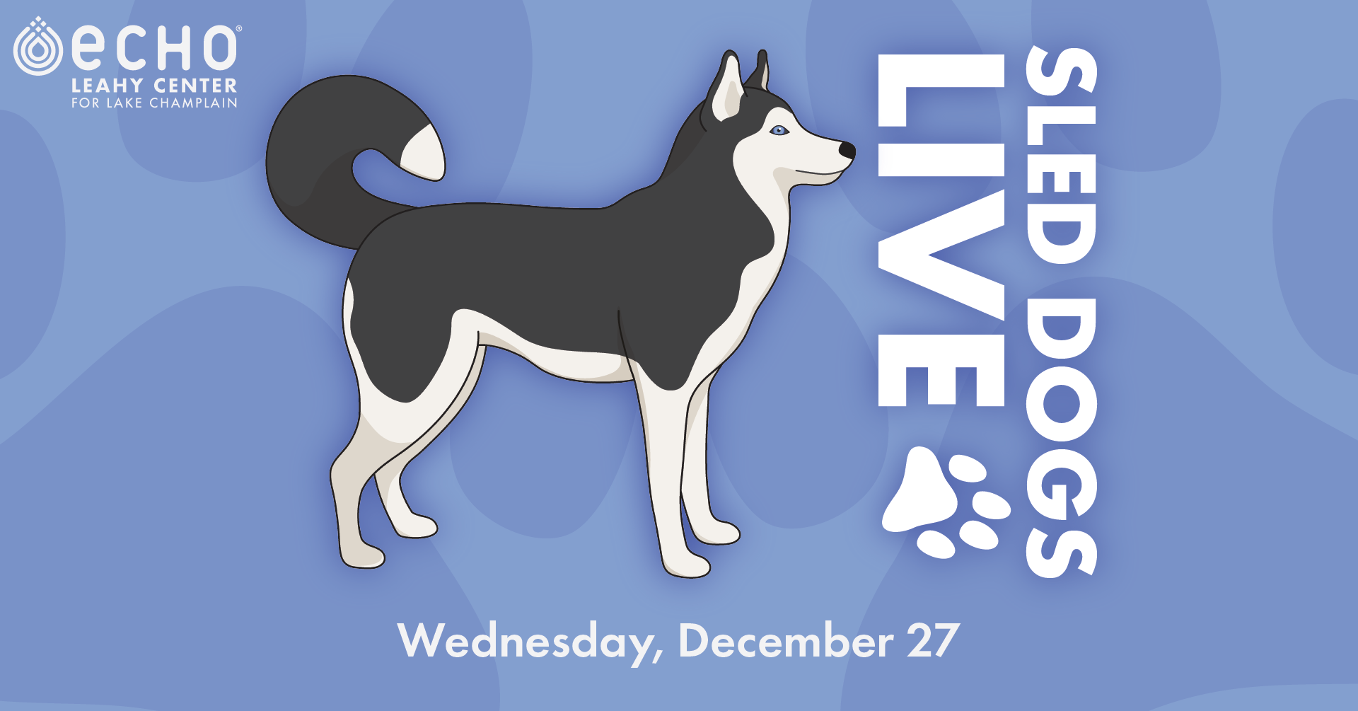 Sled dogs live! Wednesday, December 27