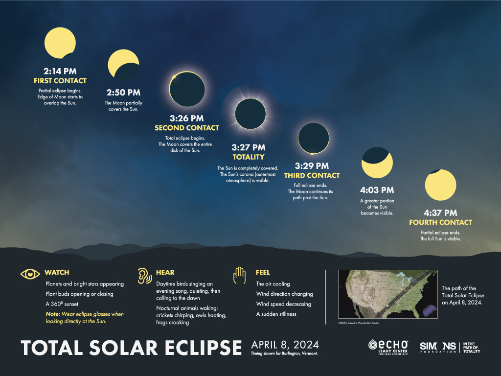 Infographic poster of a total solar eclipse labeled "Total Solar Eclipse" and featuring the labeled phases of an eclipse over a blue to yellow gradient sky.