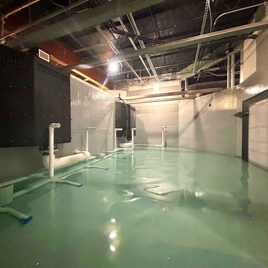 The inside of the concrete tank with water being filled.