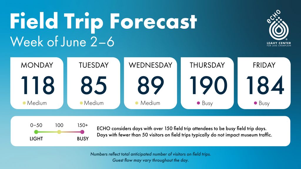 ECHO Field Trip Forecast, Week of June 2–6. Schedule indicates numbers of field trip visitors expected each day: Monday 118 (Medium), Tuesday 85 (Medium), Wednesday 89 (Medium), Thursday 190 (Busy), Friday 184 (Busy). ECHO considers days with over 150 field trip attendees to be busy field trip days. Days with fewer than 50 visitors on field trips typically do not impact museum traffic. Numbers reflect total anticipated number of visitors on field trips. Guest flow may vary throughout the day.