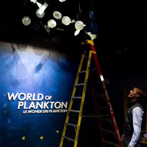 ECHO Executive Director Ted looks upwards at a chandelier of hanging plankton models. In the background, a photographic mural with text that reads "World of Plankton" is visible.