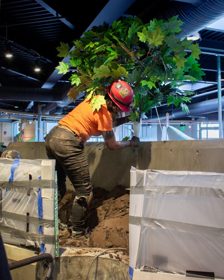 A habitat installer positions a fake tree in ECHO's iconic river tank.