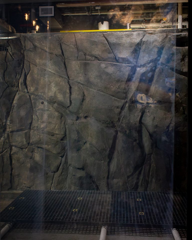 A view through the acrylic at the new rockwork inside ECHO's biggest tank, the Lake Tank.