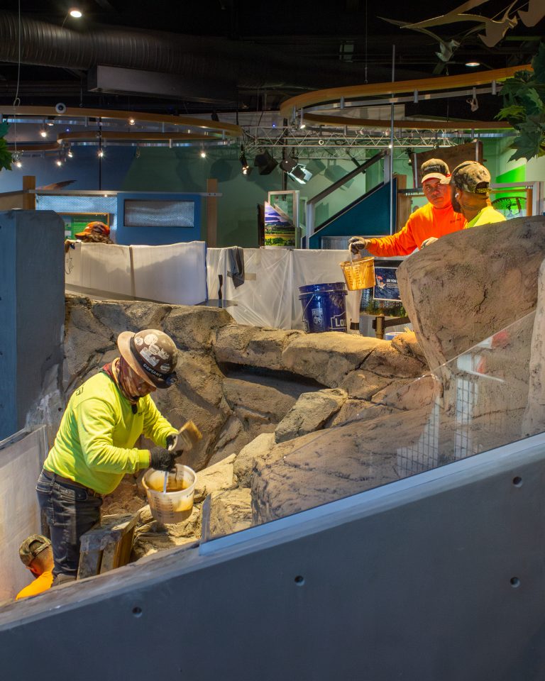 Three installers work on two separate levels of ECHO's interconnected Upper and Lower River tanks to paint new faux rockwork.