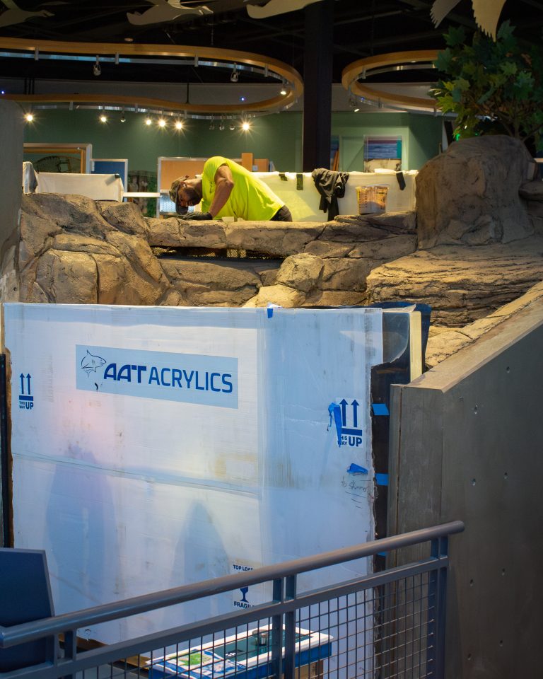 A view from outside ECHO's Lower River tank as a worker in a yellow shirt works on the new faux rock habitat, partially obscured by the tank's acrylic, which is currently wrapped in a protective white film.