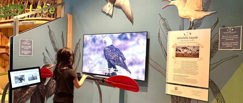 Girl at Wildlife Kayak Adventure and looking at a screen with a large eagle.