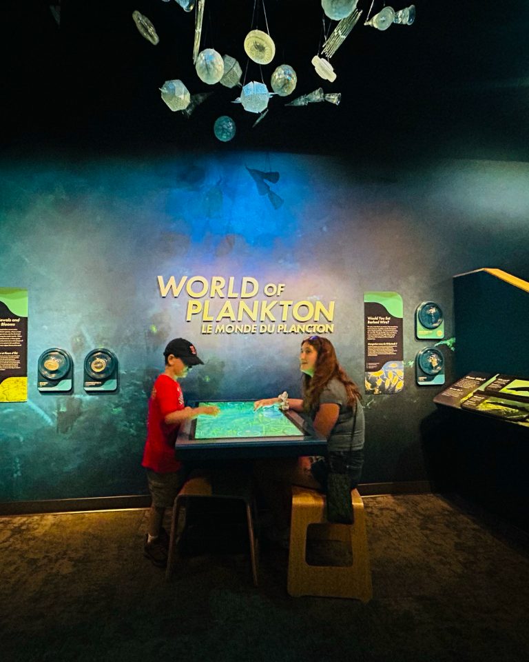 Two guests work together at the new World of Plankton interactive.