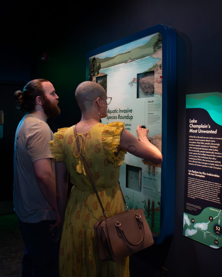 Two adults interact with the Aquatic Invasive Species interactive.