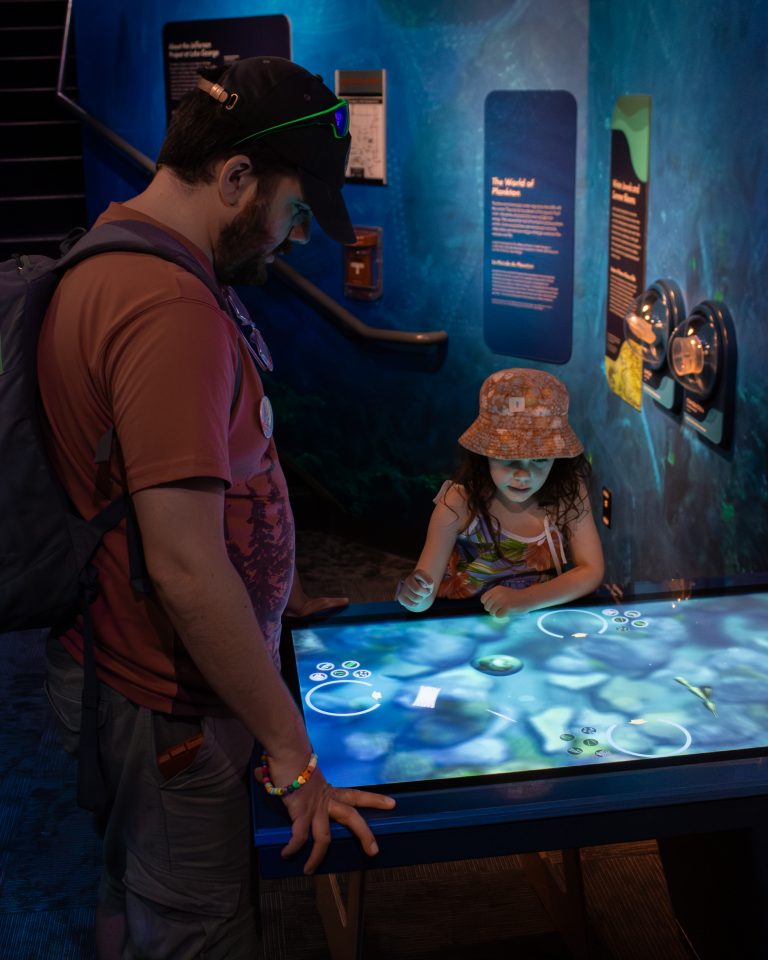 An adult and child work together at the new World of Plankton interactive.