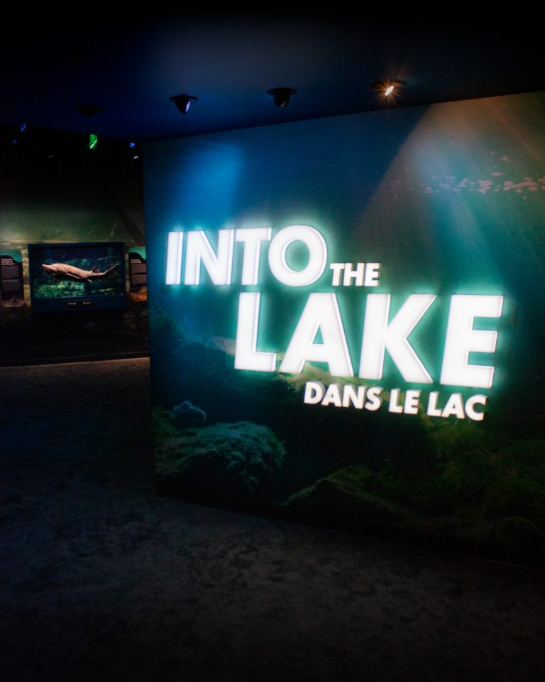 A view of the illuminated sign at the entrance to Into the Lake.