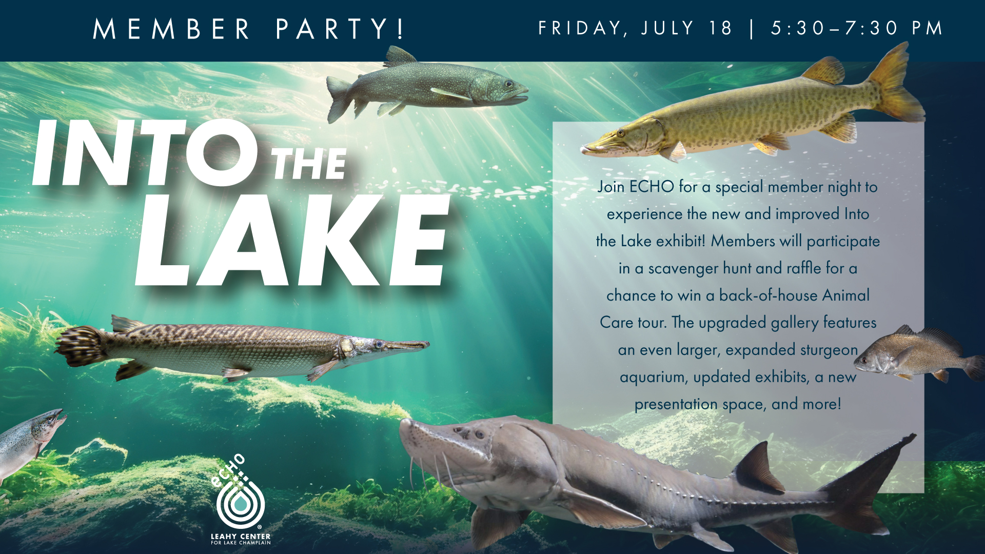 Into the Lake member party